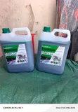 Golden Premium 5L Engine Coolant - 2