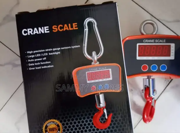 High Precision Digital Crane Scale - 1