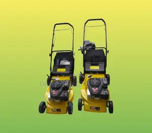 Wasp Lawnmower