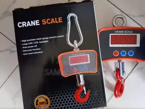 Digital Overhead Crane Scale