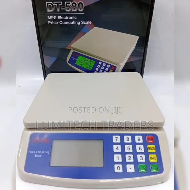 DT-580 30kg Price Computing Scale - 1