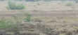 Thika Githima Plot - Ready Title Deed - 2