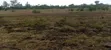 Thika Githima Plot - Ready Title Deed - 3