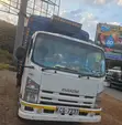 Isuzu Elf 2013 Manual Truck - 1