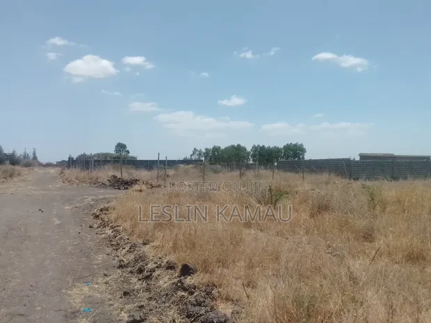 Vipande vya Ardhi vya Bei Nafuu Vinauzwa Katani - 1