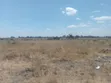 Vipande vya Ardhi vya Bei Nafuu Vinauzwa Katani - 2