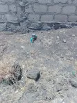 Vipande vya Ardhi vya Bei Nafuu Vinauzwa Katani - 3