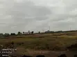 Affordable Plots for Sale in Isinya - 3