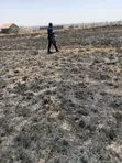 Land for Sale in Muthwani - 3200 sqm - 2