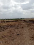 Affordable 50x100 Plot for Sale in Juja - 1