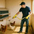 Poultry Disinfectant | Chicken House Biosecurity - 3