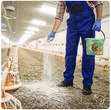 Poultry Disinfectant | Chicken House Biosecurity - 4
