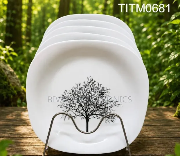 Brand New Ceramic 10 Inch Plates (Set of 6) - 1
