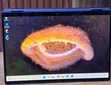Laptop HP Spectre 14 x360 - Intel Core Ultra 7, 32GB RAM, 2TB SSD - 1