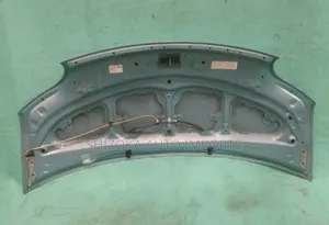 Toyota Porte Bonnet (NP10) 2009