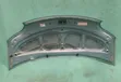 Toyota Porte Bonnet (NP10) 2009 - 2
