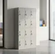 12-Compartment Office & Gym Storage Cabinet - 4