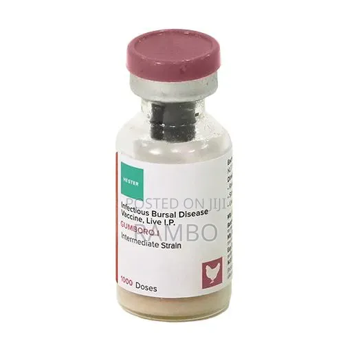 Gumboro Vaccine for Chickens | IBD Poultry Vaccine Kenya - 1