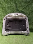Lexus GS Bonnet (2005) - 2