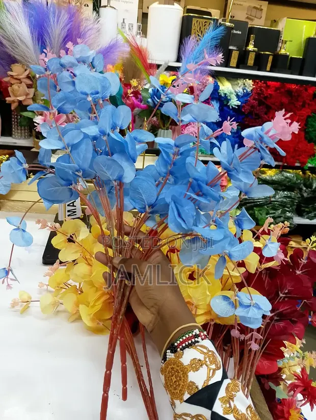5pcs Eucalyptus Stems - Decorative - 1