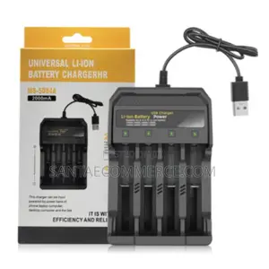 Universal 4-Slot USB Lithium-Ion Battery Charger