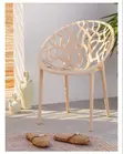 Premium Plastic Dining Chair for Modern Homes - 1