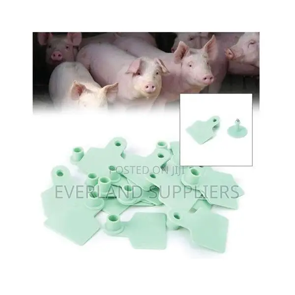 Small Durable Ear Tags - 1