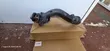 Mercedes-Benz Thermostat Housing Assembly 278 200 0615 - 1