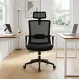 Ergonomic Computer Chair - Black - 3
