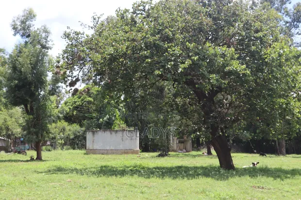 Godown, Factory & Office Complex in Mwea - 1
