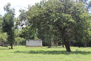 Godown, Factory & Office Complex in Mwea
