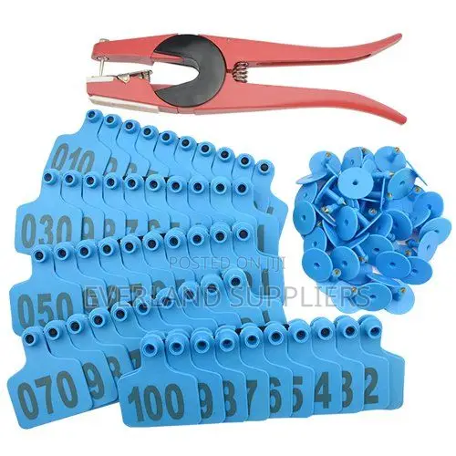 Customizable Blank Ear Tags - 1