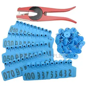 Customizable Blank Ear Tags