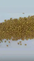 Lucerne Seeds - 2