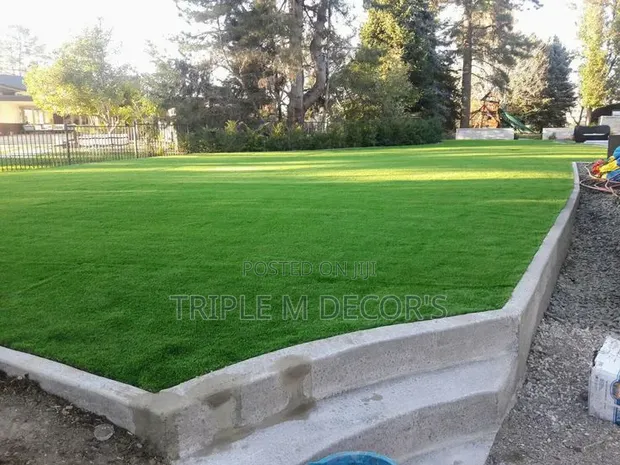 High-Quality 25mm Artificial Grass Carpet - 1