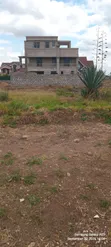 Two Adjacent Plots for Sale in Sunset Park, Kalimoni - 2