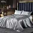 Mulberry Silk Duvet Cover Set - 2