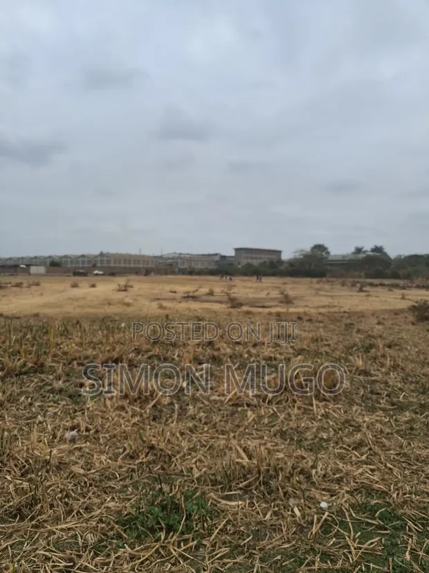 Ruiru Clay Works Industrial Land - 5 Acres - 1