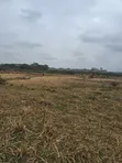 Ruiru Clay Works Industrial Land - 5 Acres - 4
