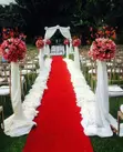 Event Carpet Runners - Stylish & Durable - 1