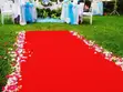 Event Carpet Runners - Stylish & Durable - 2
