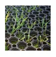 Hollow Door Mat 1x1.5m Non-Slip Indoor/Outdoor - 1