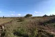 1/8 Acre Residential Plot in Tuala - 2