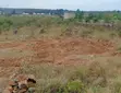 1/8 Acre Residential Plot in Tuala - 3