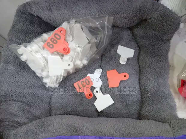 Ear Tags - Outdoor-Friendly Design - 1