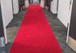 Modern Apartment Carpet Runners - 1