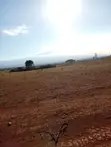 150 Acres Farmland in Loitokitok Rombo with Ready Title Deed - 2