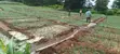 150 Acres Farmland in Loitokitok Rombo with Ready Title Deed - 3