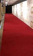 Office Entrance Carpet Runners - 2