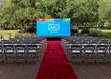 Carpet Runners for Public Walkways - 2